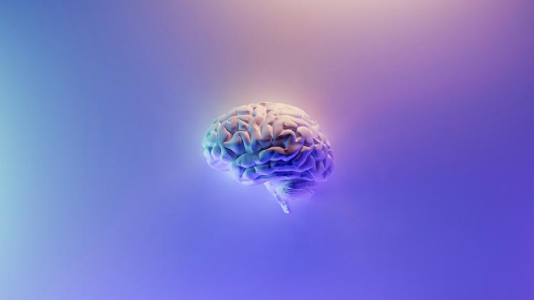 AI Engrams, Cognitive Debt, and Agent Trust