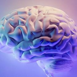 AI Engrams, Cognitive Debt, and Agent Trust