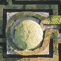 CoT Control, Hidden Beliefs, and Dynamic Agent Benchmarks