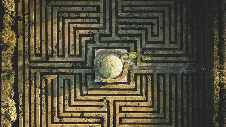 CoT Control, Hidden Beliefs, and Dynamic Agent Benchmarks