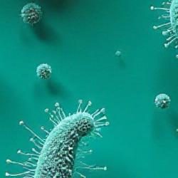 This Week: Mind Viruses, Agent Support, and Waste