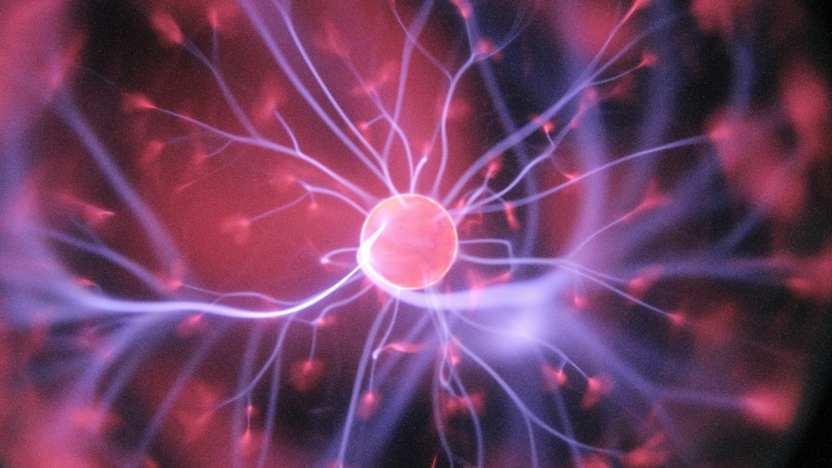 Close-up of a neuron with branching dendrites against dark background