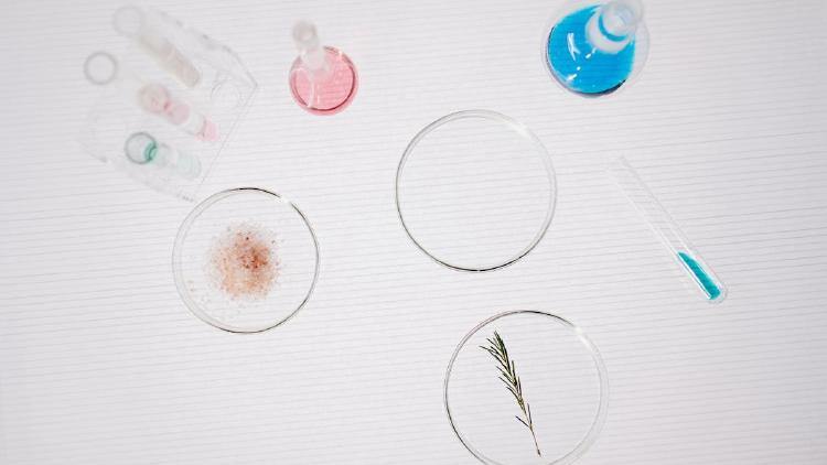 Reasoning Traps, LLM Chaos, and Steering Curves