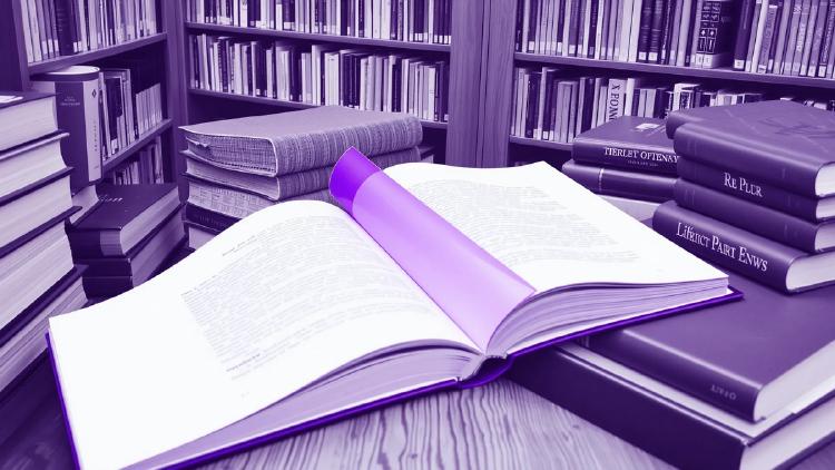 Seed1.8, Reasoning Deception, and the Library Theorem