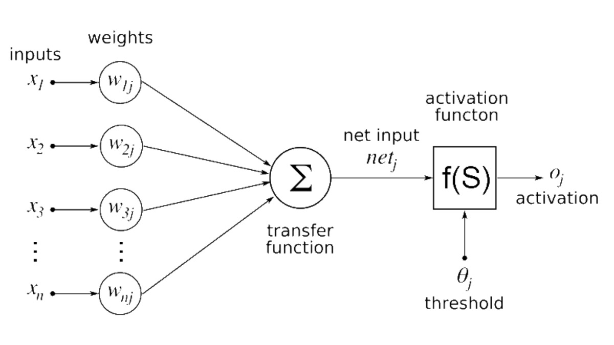 A schematic diagram of a single artificial neuron, showing weighted inputs summed and passed through an activation function