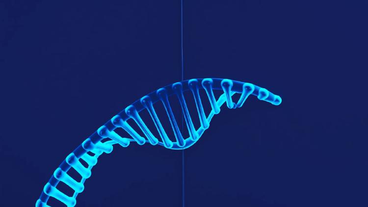 Self-Evolving Coders, Hidden Errors, Brittle Mobile Agents