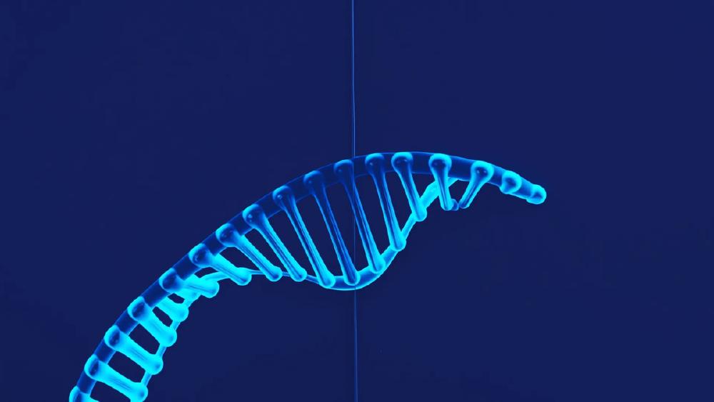 Self-Evolving Coders, Hidden Errors, Brittle Mobile Agents