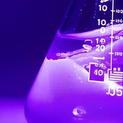 Smarter Trees, Hidden Attacks, Drug Design Gaps