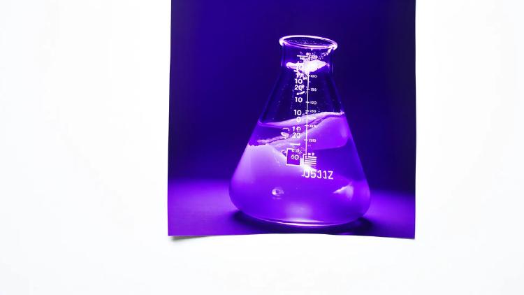 Smarter Trees, Hidden Attacks, Drug Design Gaps