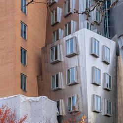 Unsafe Agents, Rising AI Tides, and Training Traps