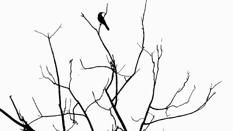 Best AI Agent Frameworks in 2026: LangChain, CrewAI, AutoGen, and More