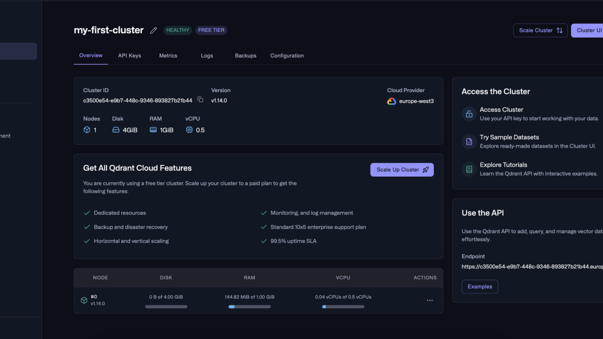 Qdrant cluster overview page showing node topology and storage allocation