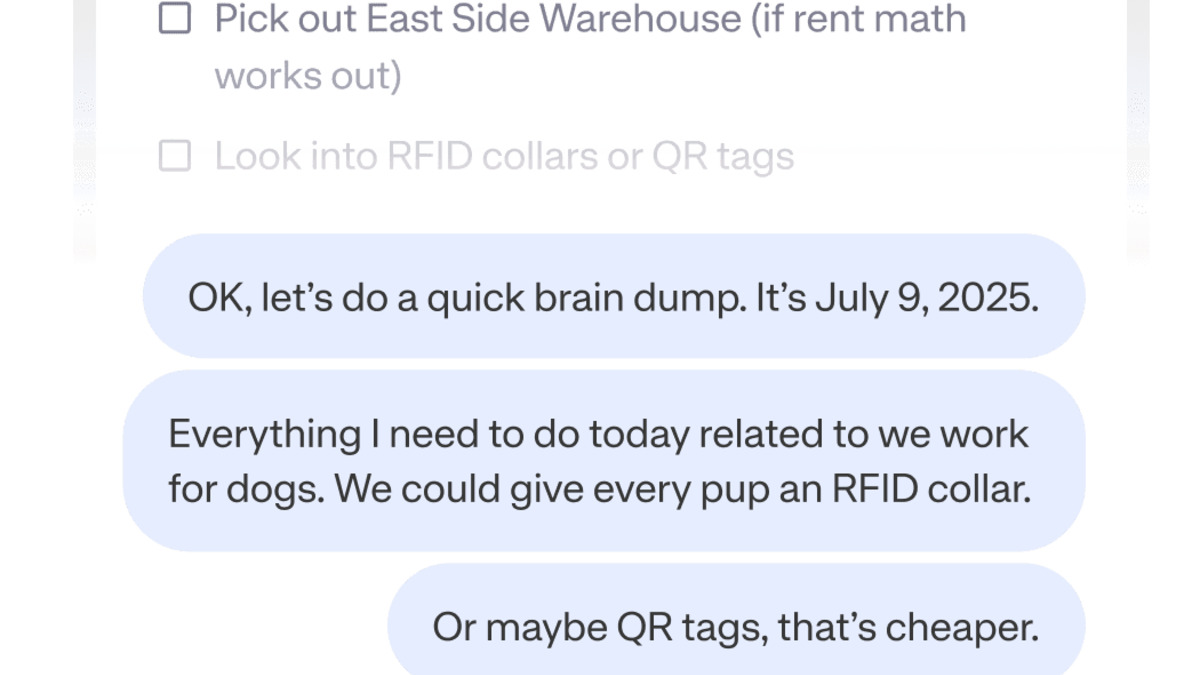 Mem AI interface showing automatic organization and note connections